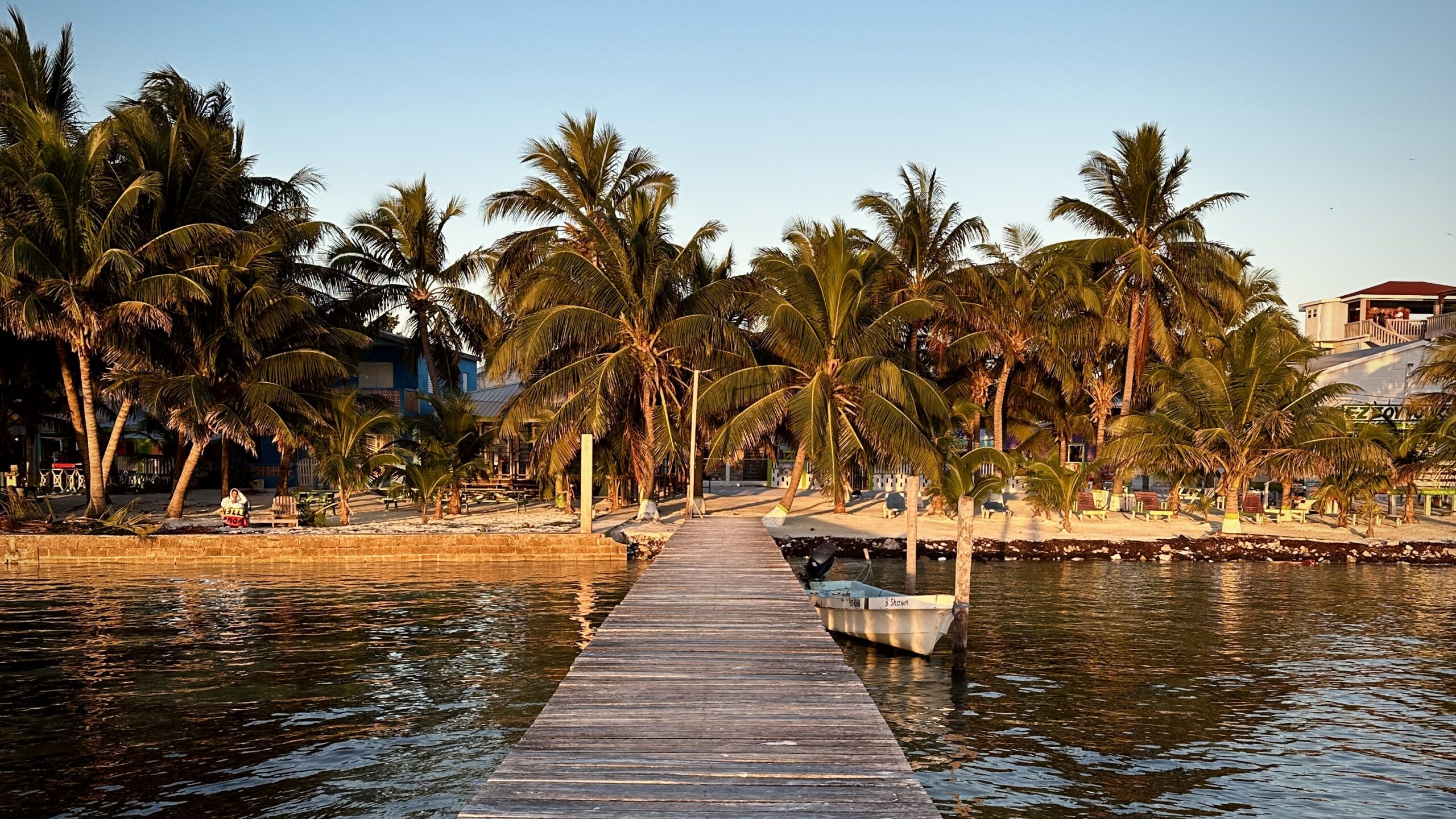 Sunrise looking at palm trees on Caye Caulker Island from a pier